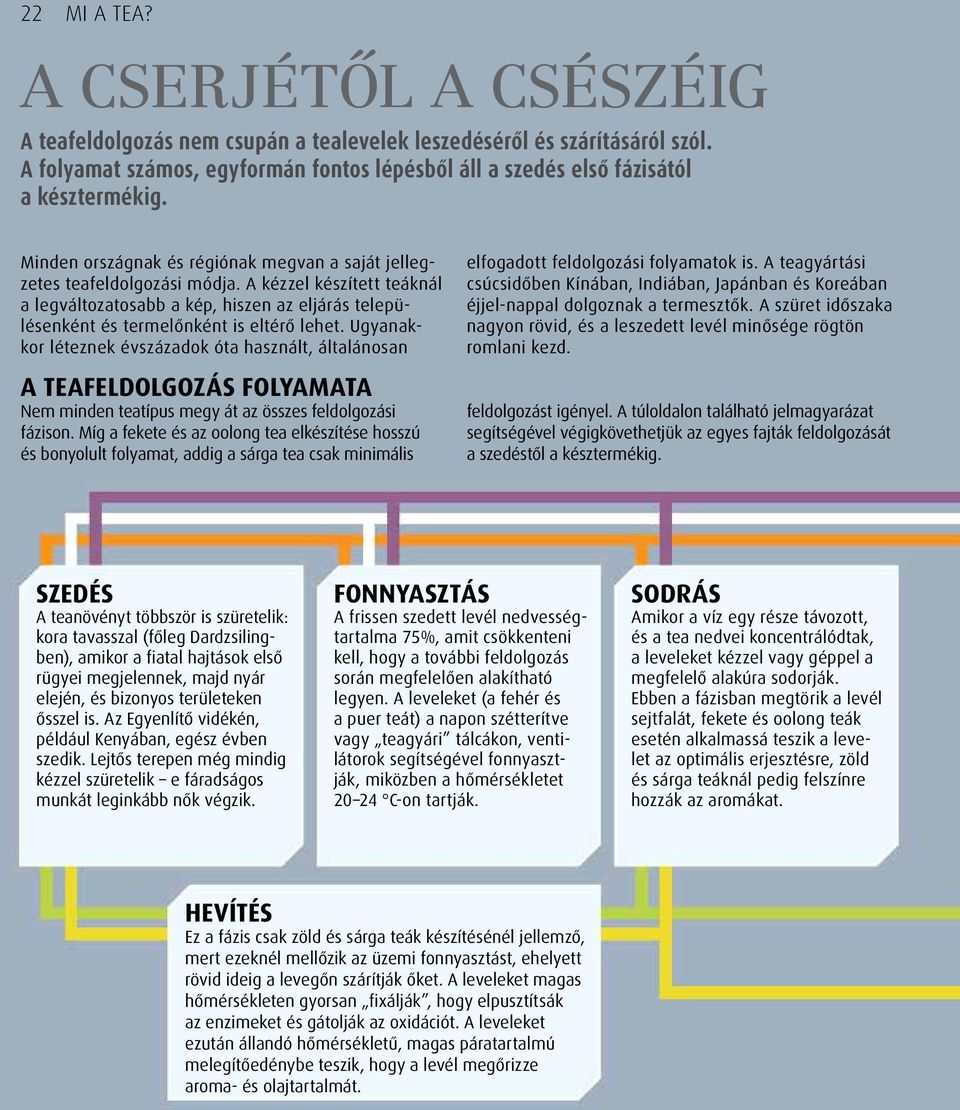Ugyanakkor léteznek évszázadok óta használt, általánosan A TEAFELDOLGOZÁS FOLYAMATA Nem minden teatípus megy át az összes feldolgozási fázison.
