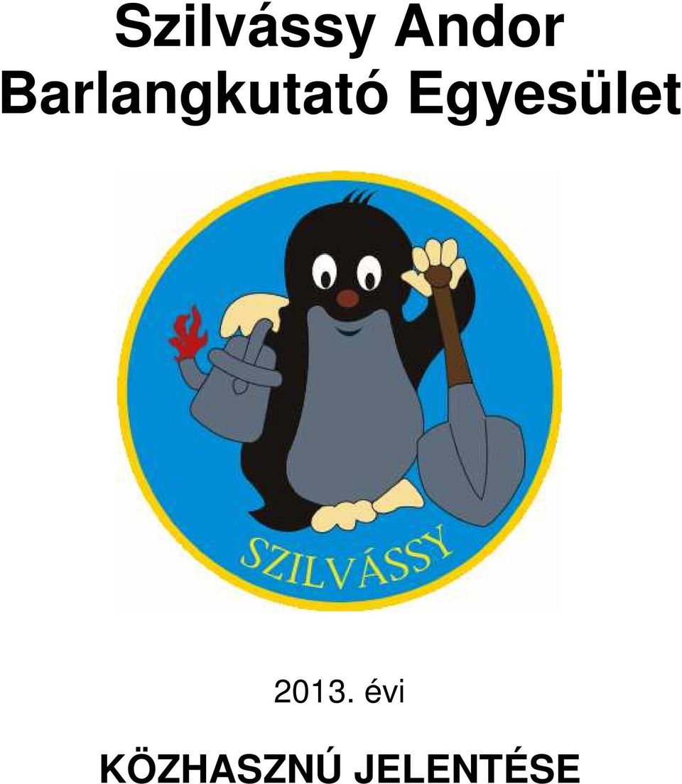 Egyesület 2013.