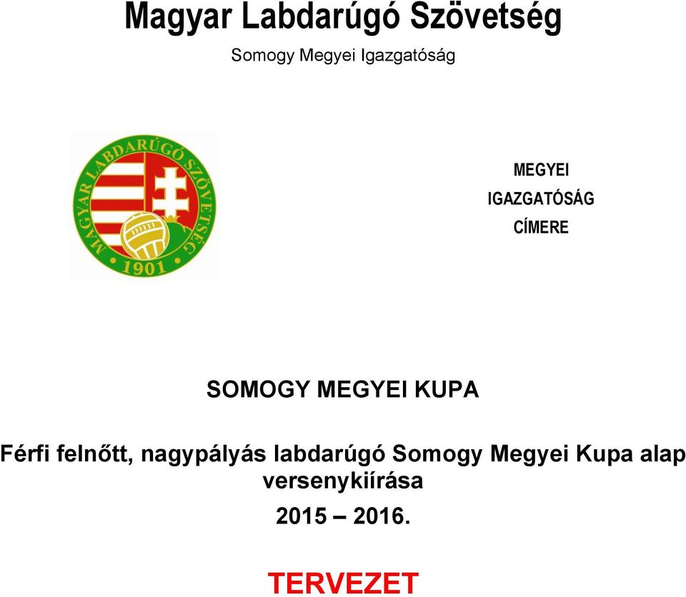 MEGYEI KUPA Férfi felnőtt, nagypályás labdarúgó