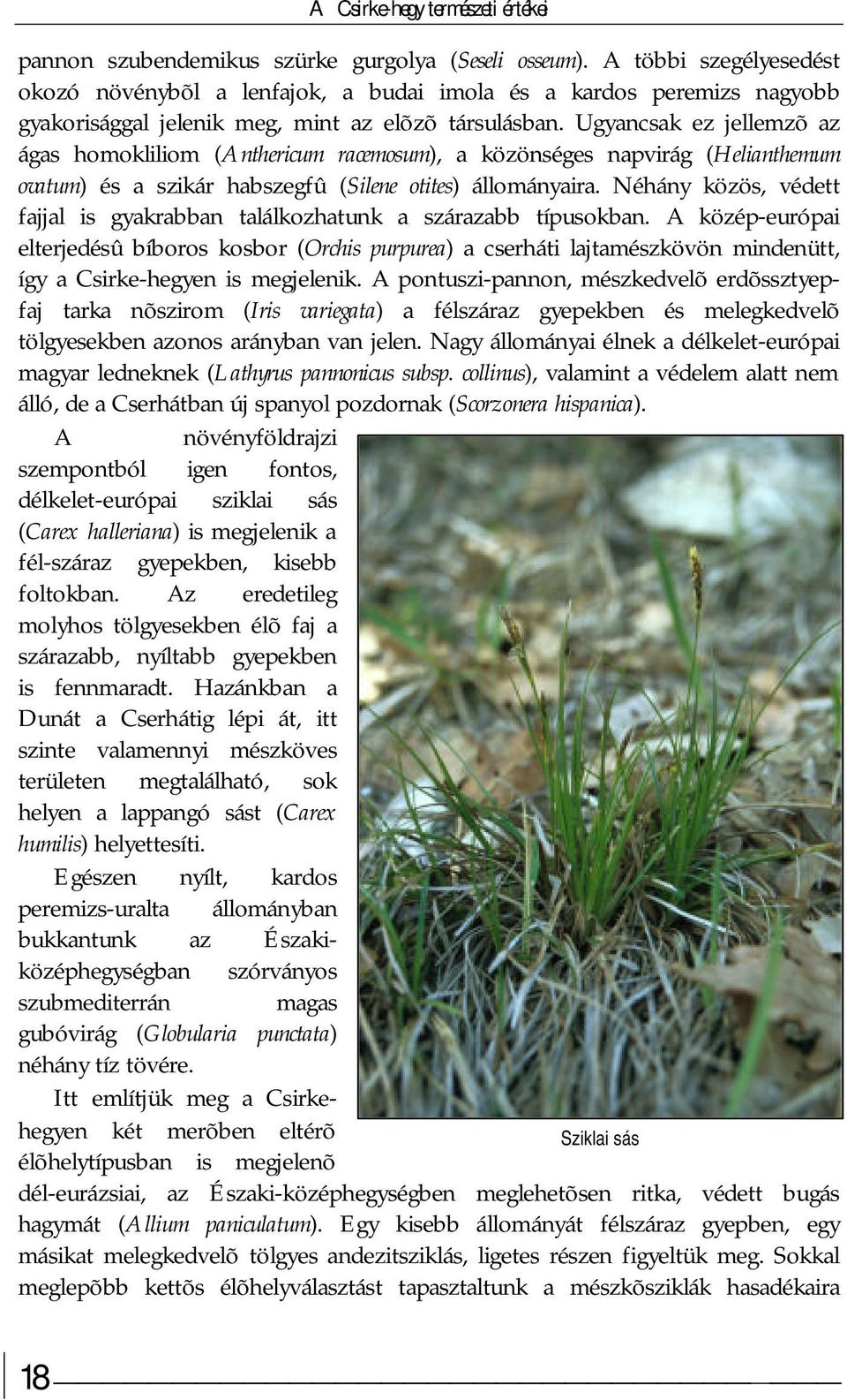 Ugyancsak ez jellemzõ az ágas homokliliom (Anthericum racemosum), a közönséges napvirág (Helianthemum ovatum) és a szikár habszegfû (Silene otites) állományaira.