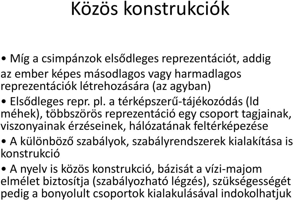 a térképszerű-tájékozódás (ld méhek), többszörös reprezentáció egy csoport tagjainak, viszonyainak érzéseinek, hálózatának