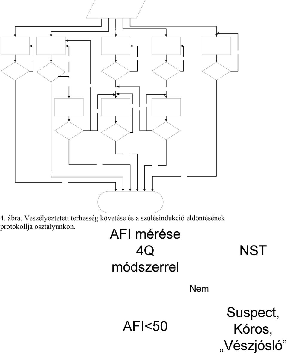 követése és a