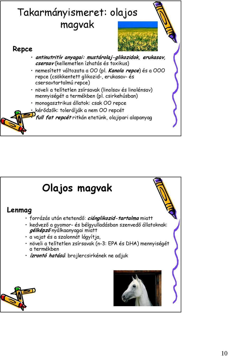 csirkehúsban) monogasztrikus állatok: csak OO repce kérődzők: tolerálják a nem OO repcét full fat repcét ritkán etetünk, olajipari alapanyag Olajos magvak Lenmag forrázás után etetendő: