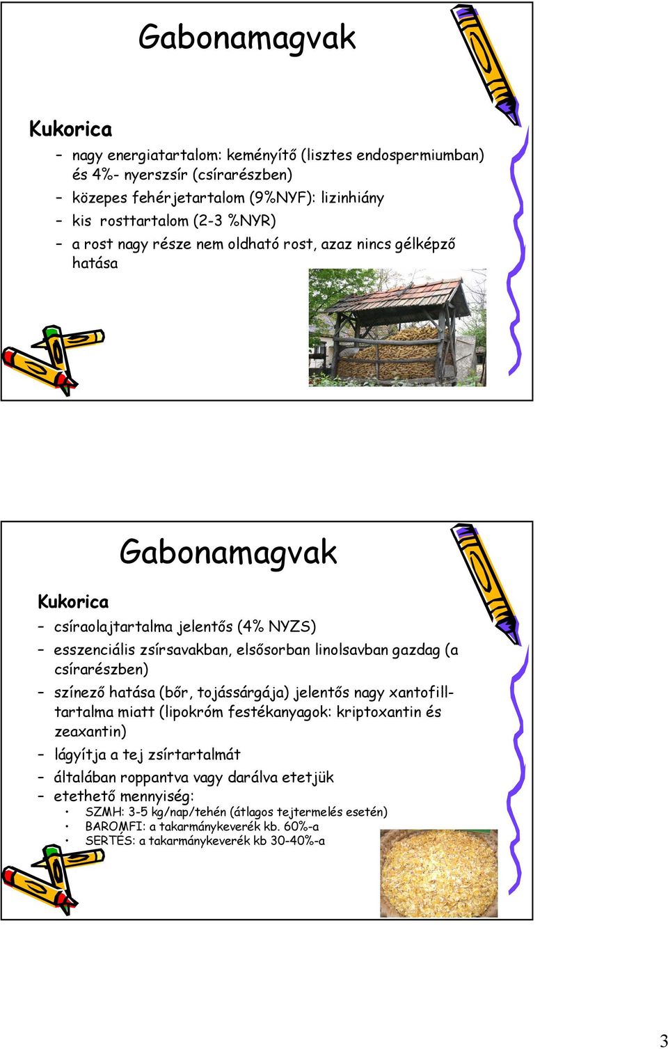 linolsavban gazdag (a csírarészben) színező hatása (bőr, tojássárgája) jelentős nagy xantofilltartalma miatt (lipokróm festékanyagok: kriptoxantin és zeaxantin) lágyítja a tej