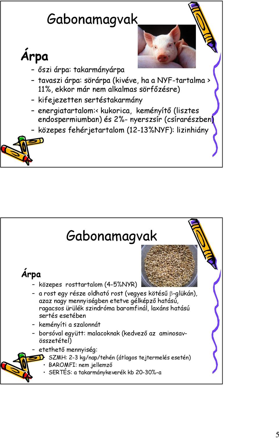 rost egy része oldható rost (vegyes kötésű β-glükán), azaz nagy mennyiségben etetve gélképző hatású, ragacsos ürülék szindróma baromfinál, laxáns hatású sertés esetében keményíti a