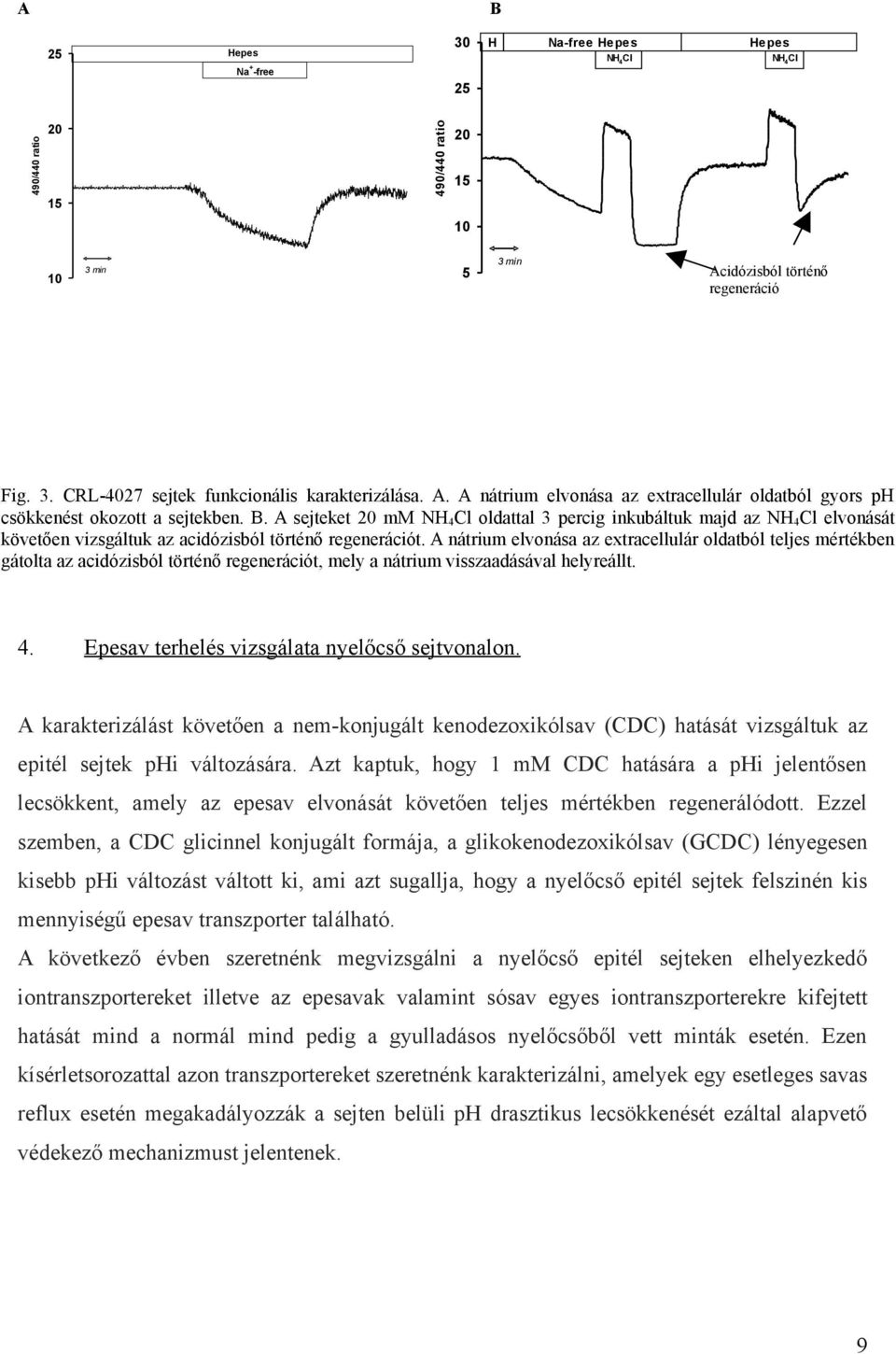 A sejteket 20 mm NH 4Cl oldattal 3 percig inkubáltuk majd az NH 4Cl elvonását követően vizsgáltuk az acidózisból történő regenerációt.