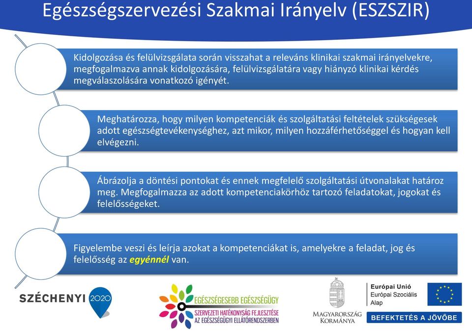 Meghatározza, hogy milyen kompetenciák és szolgáltatási feltételek szükségesek adott egészségtevékenységhez, azt mikor, milyen hozzáférhetőséggel és hogyan kell elvégezni.