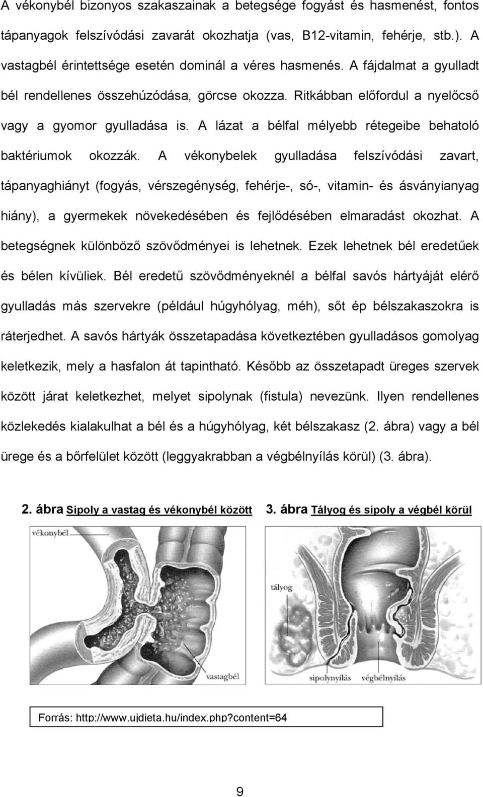 A lázat a bélfal mélyebb rétegeibe behatoló baktériumok okozzák.