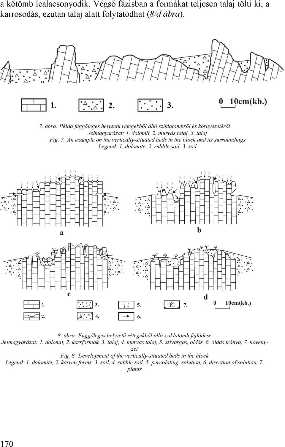 An example on the vertically-situated beds in the block and its surroundings Legend: 1. dolomite, 2. rubble soil, 3. soil 8.