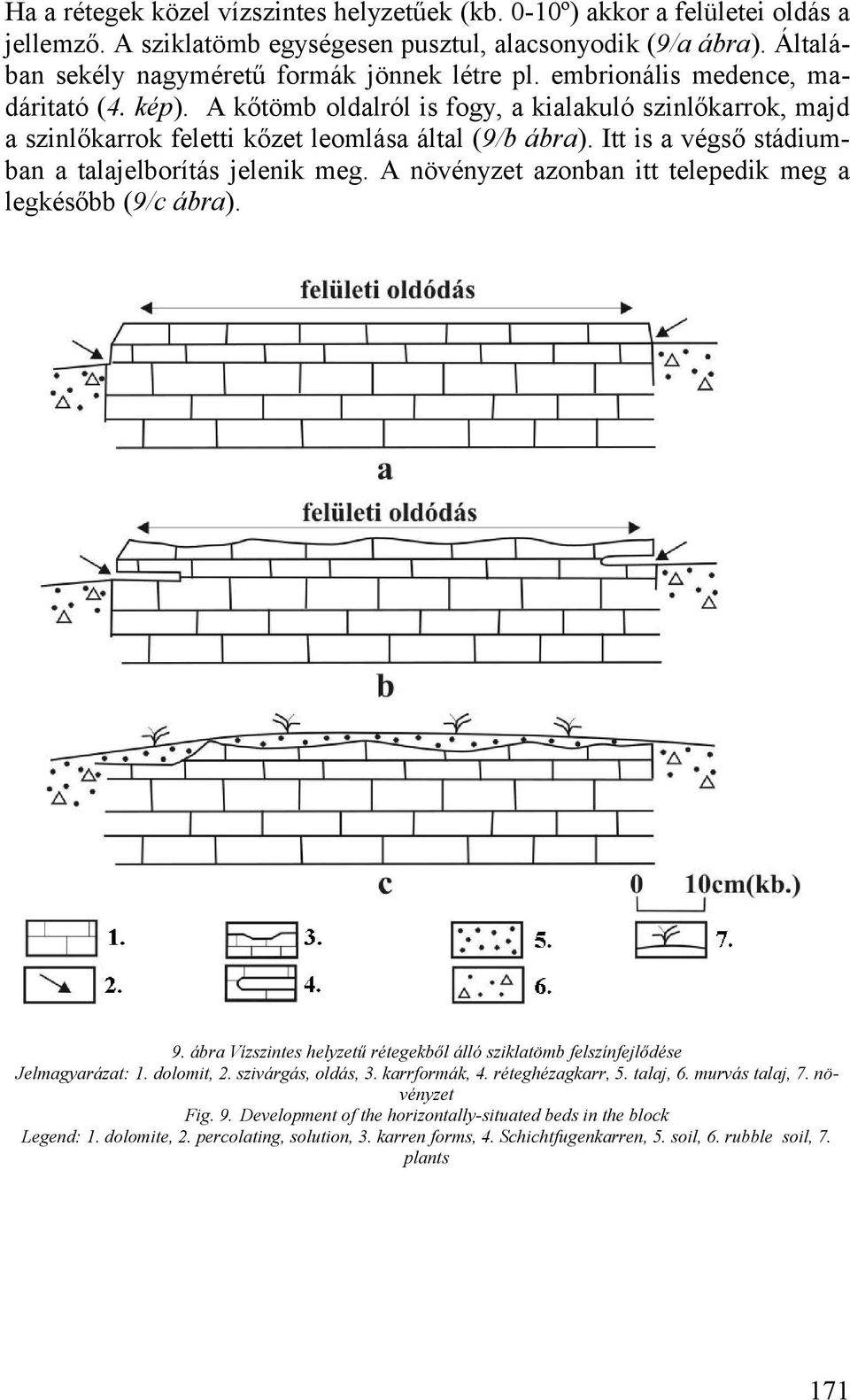 Itt is a végső stádiumban a talajelborítás jelenik meg. A növényzet azonban itt telepedik meg a legkésőbb (9/c ábra). 9.