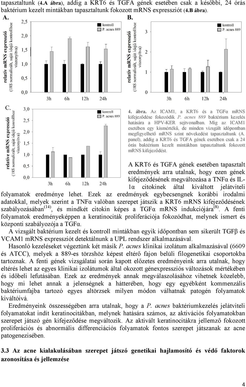 panel), addig a KRT6 és TGFA gének esetében csak a 24 órás baktérium kezelt mintákban tapasztaltunk fokozott mrns kifejeződést.