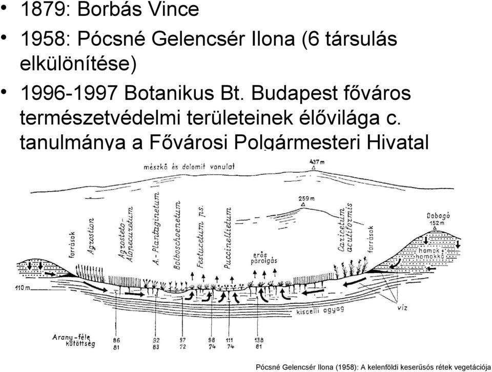 Budapest főváros természetvédelmi területeinek élővilága c.