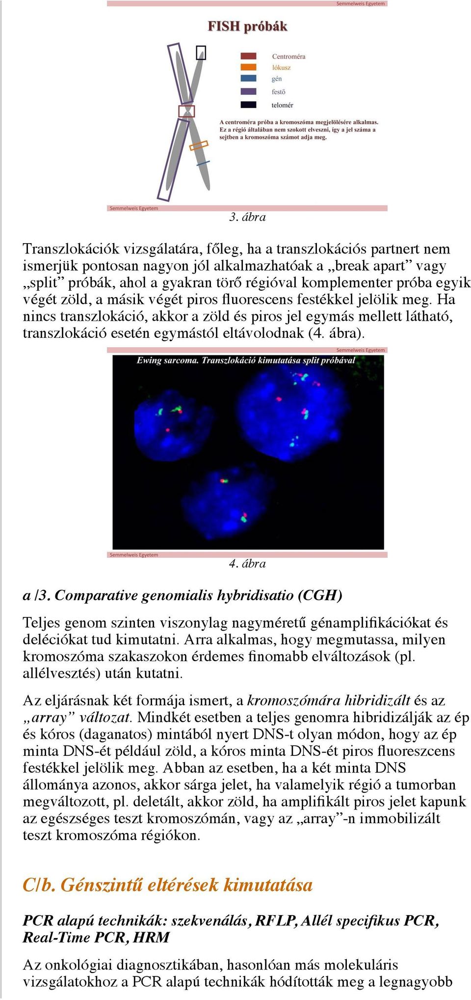 ábra). 4. ábra a /3. Comparative genomialis hybridisatio (CGH) Teljes genom szinten viszonylag nagyméretű génamplifikációkat és deléciókat tud kimutatni.