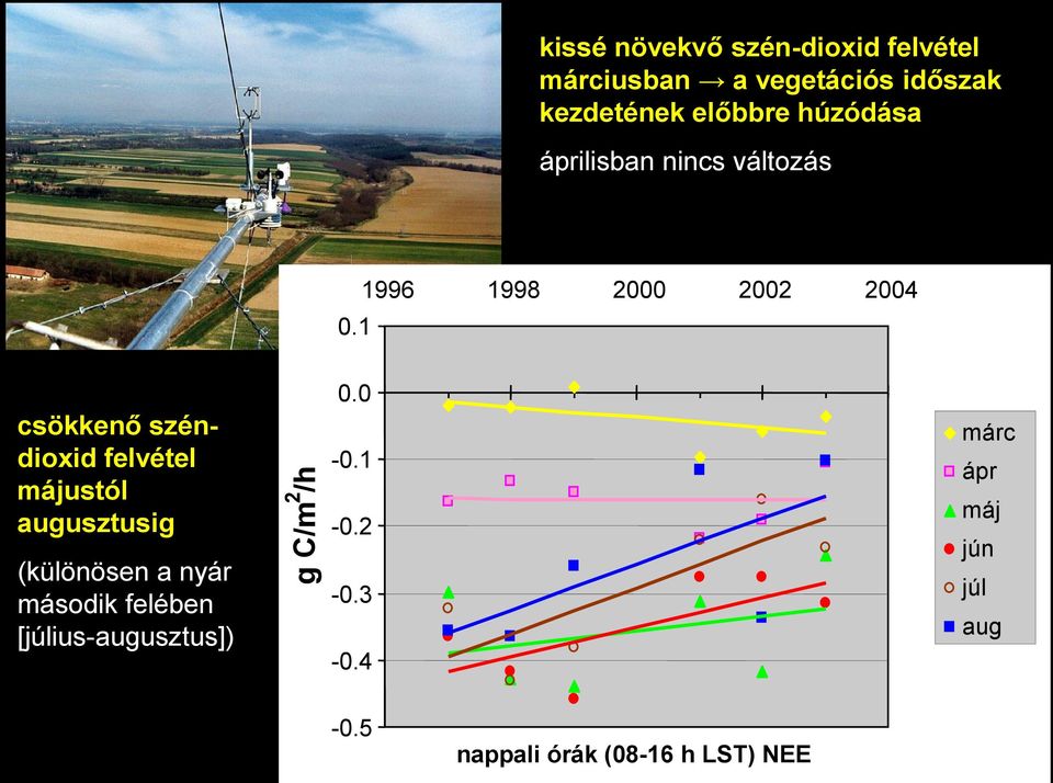 1 1996 1998 2000 2002 2004 csökkenő széndioxid felvétel májustól augusztusig