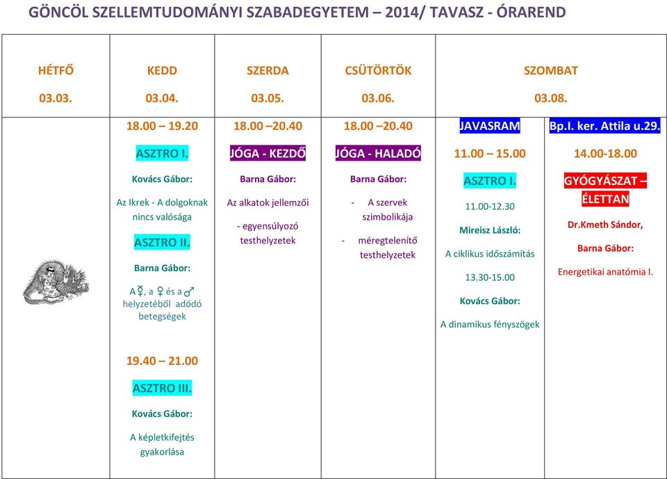 jellemzői - egyensúlyozó - A szervek szimbolikája - méregtelenítő 11.00-12.