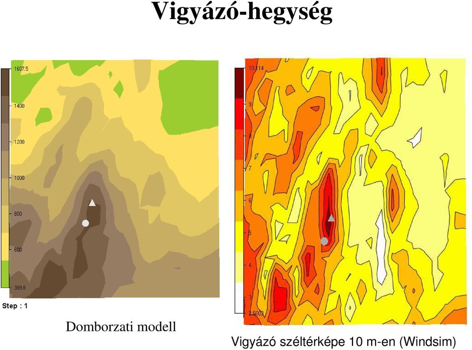 Vigyázó