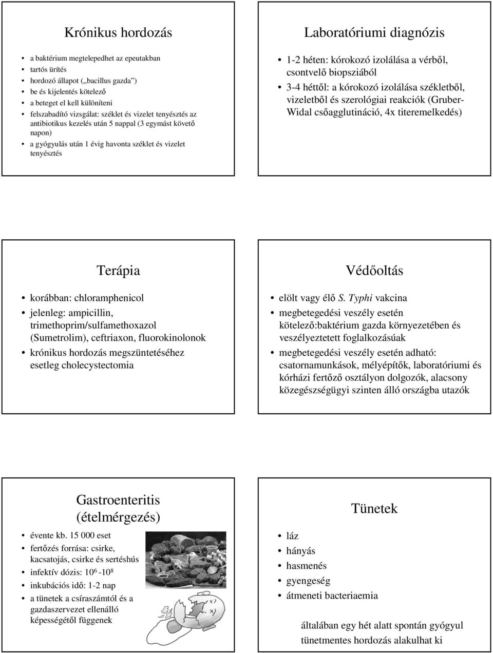 vérből, csontvelő biopsziából 3-4 héttől: a kórokozó izolálása székletből, vizeletből és szerológiai reakciók (Gruber- Widal csőagglutináció, 4x titeremelkedés) Terápia korábban: chloramphenicol