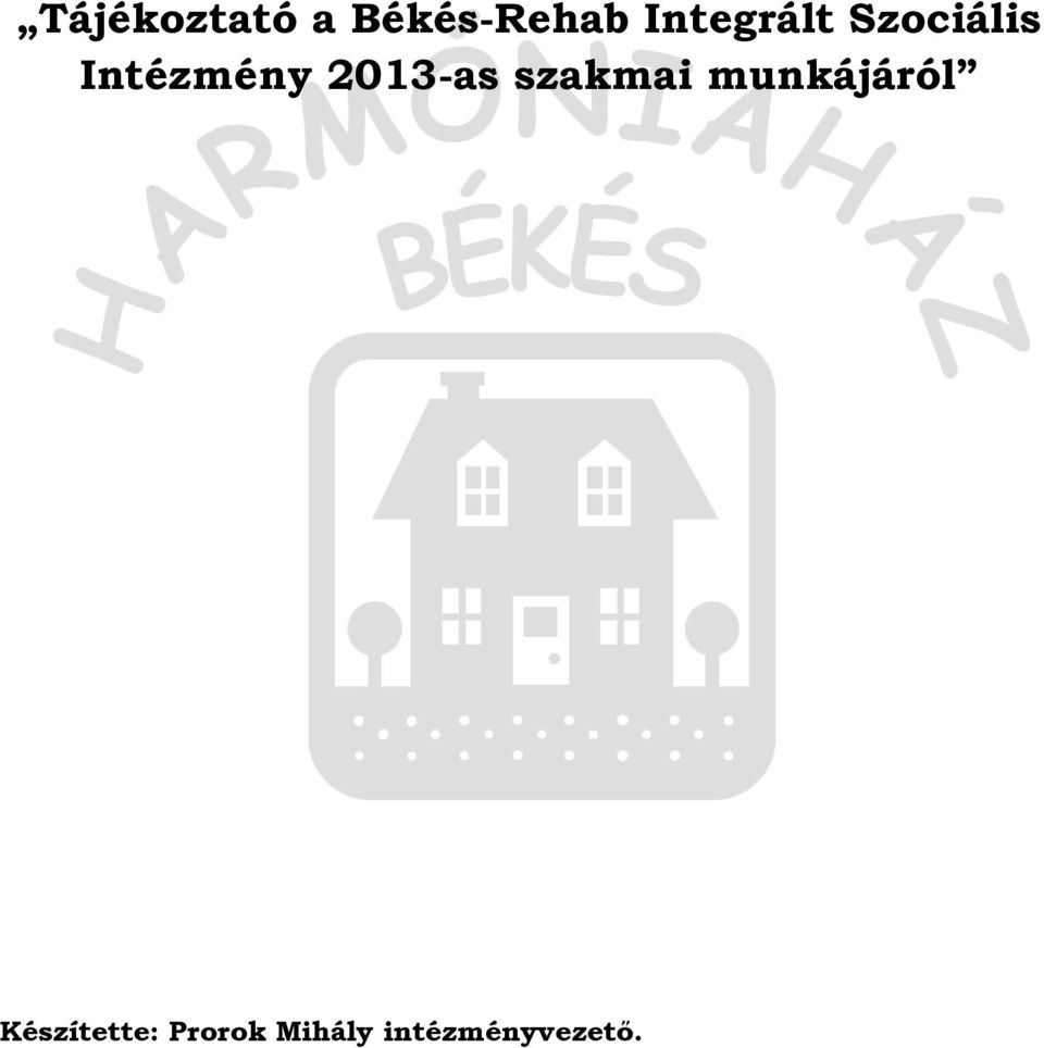 2013-as szakmai munkájáról