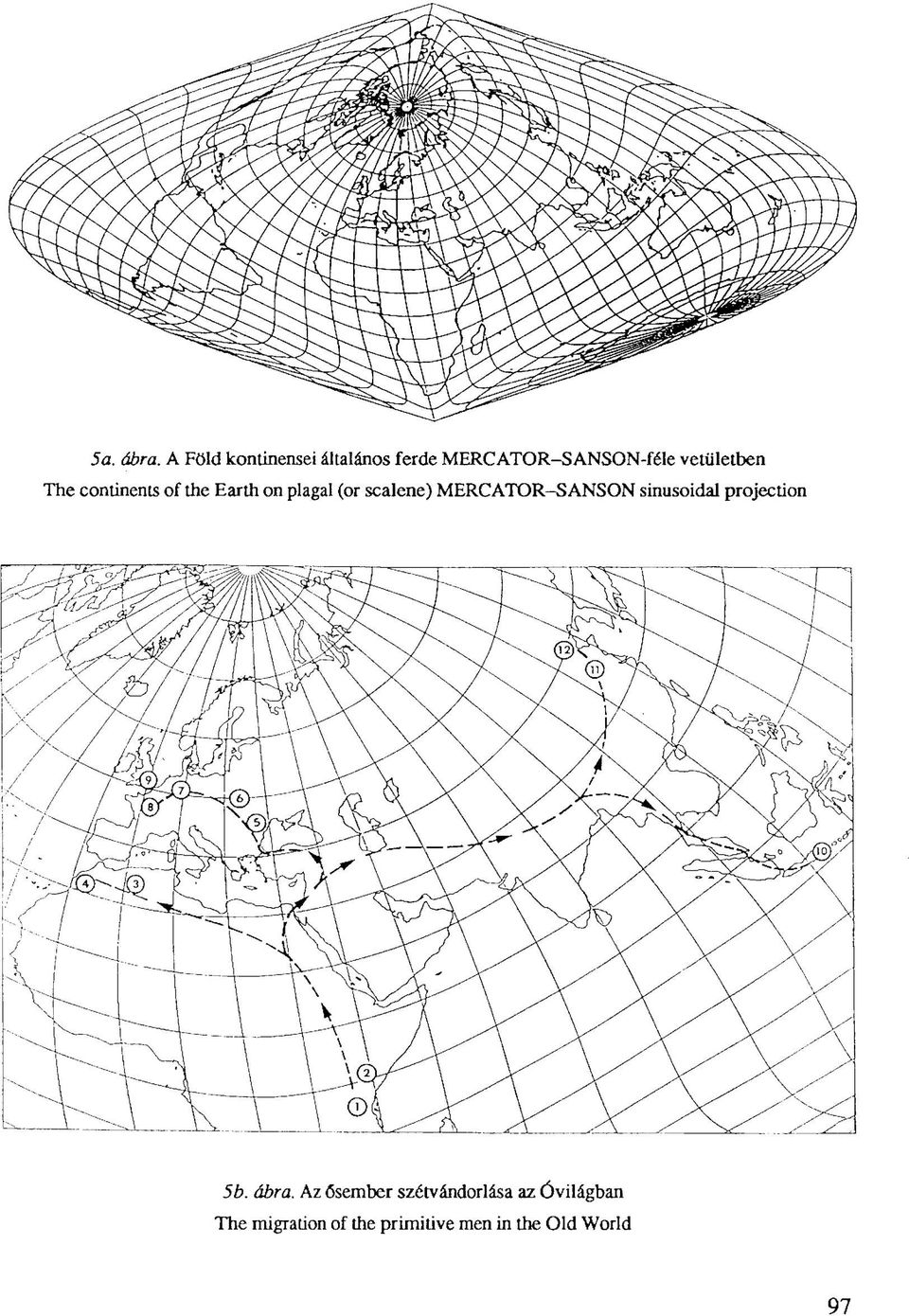 The continents of the Earth on plagal (or scalene) MERCATOR-SANSON