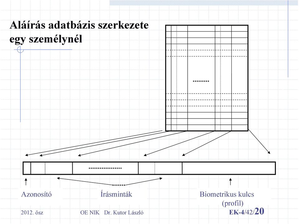 Biometrikus kulcs (profil) 2012.