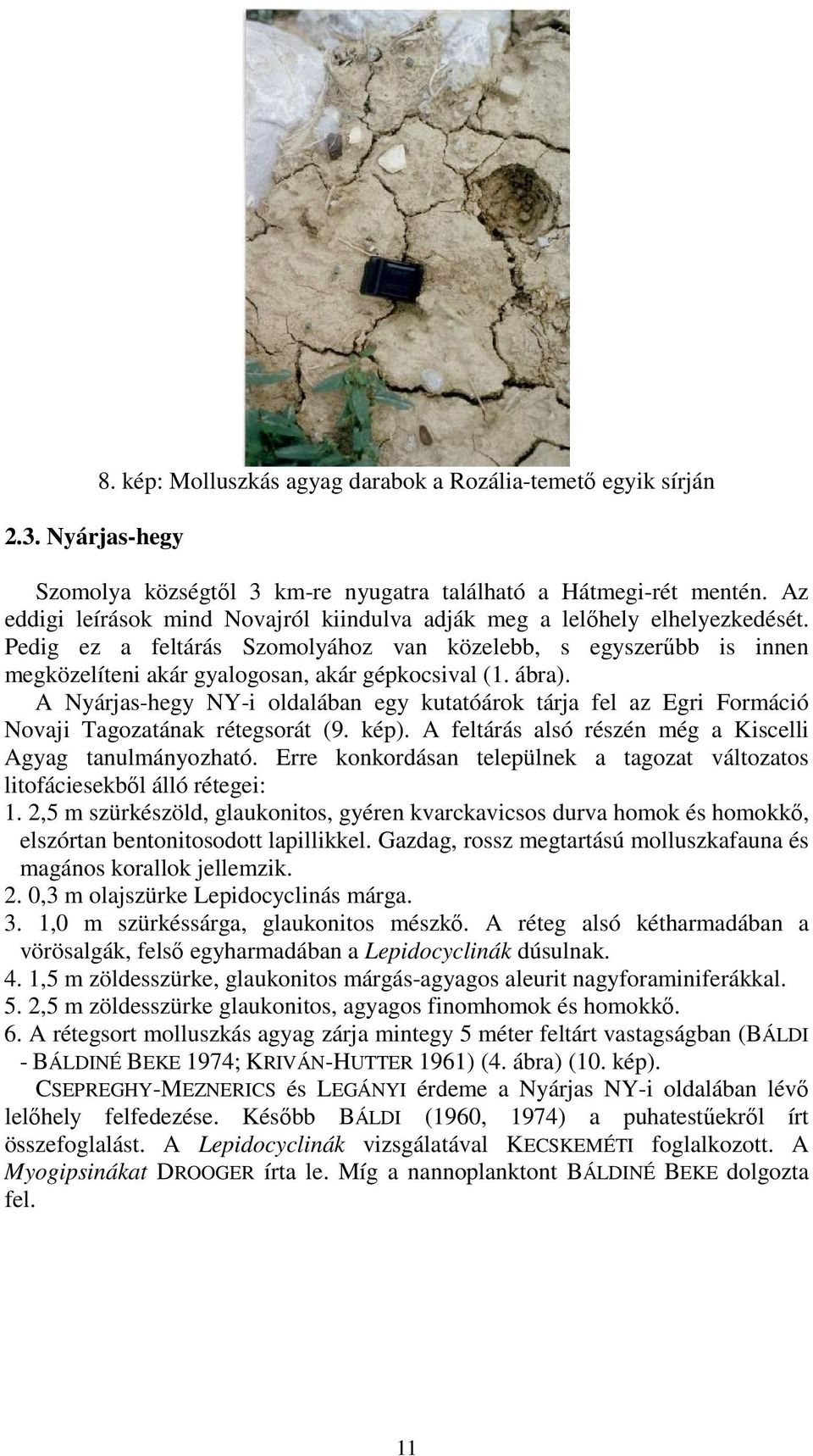 ábra). A Nyárjas-hegy NY-i oldalában egy kutatóárok tárja fel az Egri Formáció Novaji Tagozatának rétegsorát (9. kép). A feltárás alsó részén még a Kiscelli Agyag tanulmányozható.