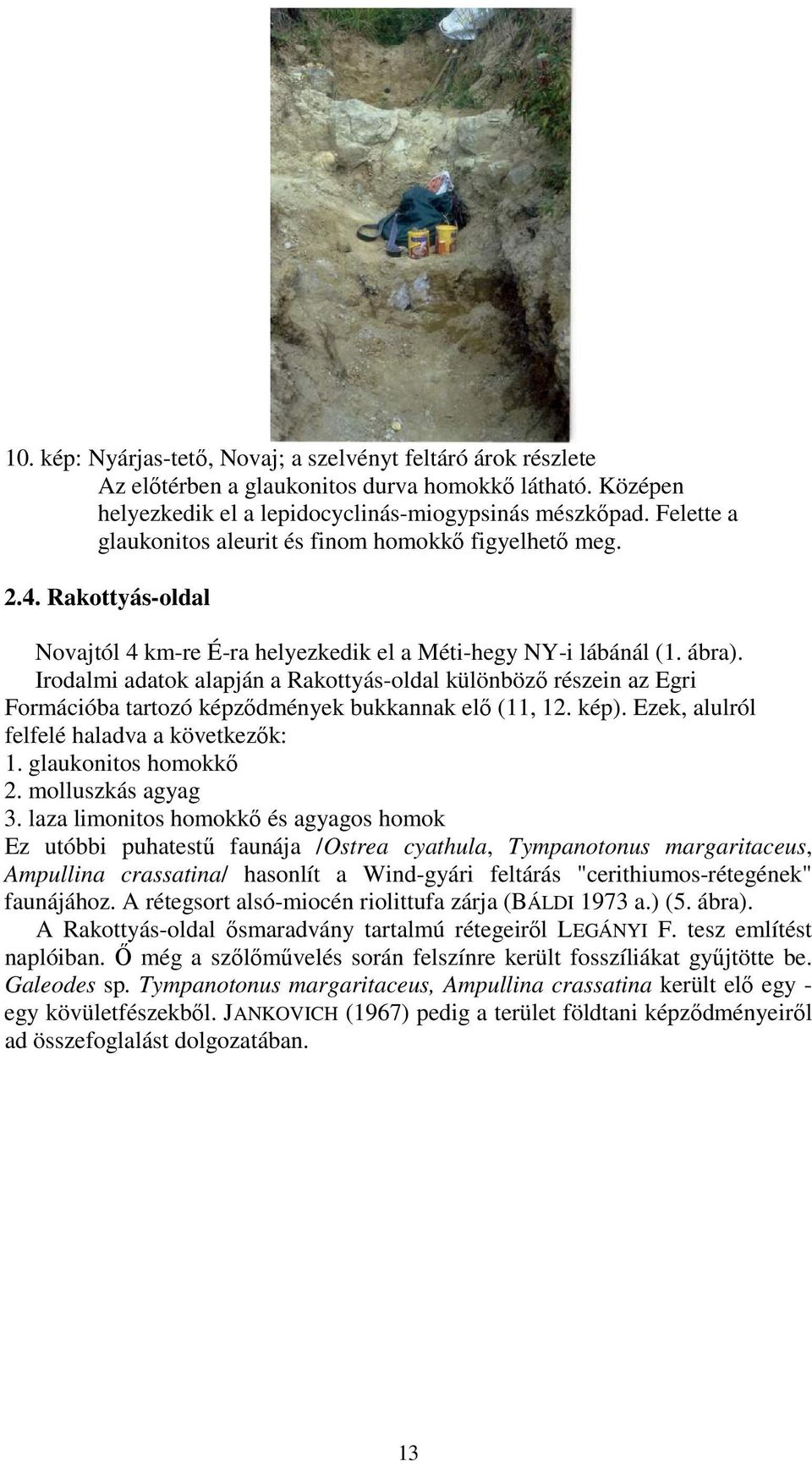 Irodalmi adatok alapján a Rakottyás-oldal különbözı részein az Egri Formációba tartozó képzıdmények bukkannak elı (11, 12. kép). Ezek, alulról felfelé haladva a következık: 1. glaukonitos homokkı 2.