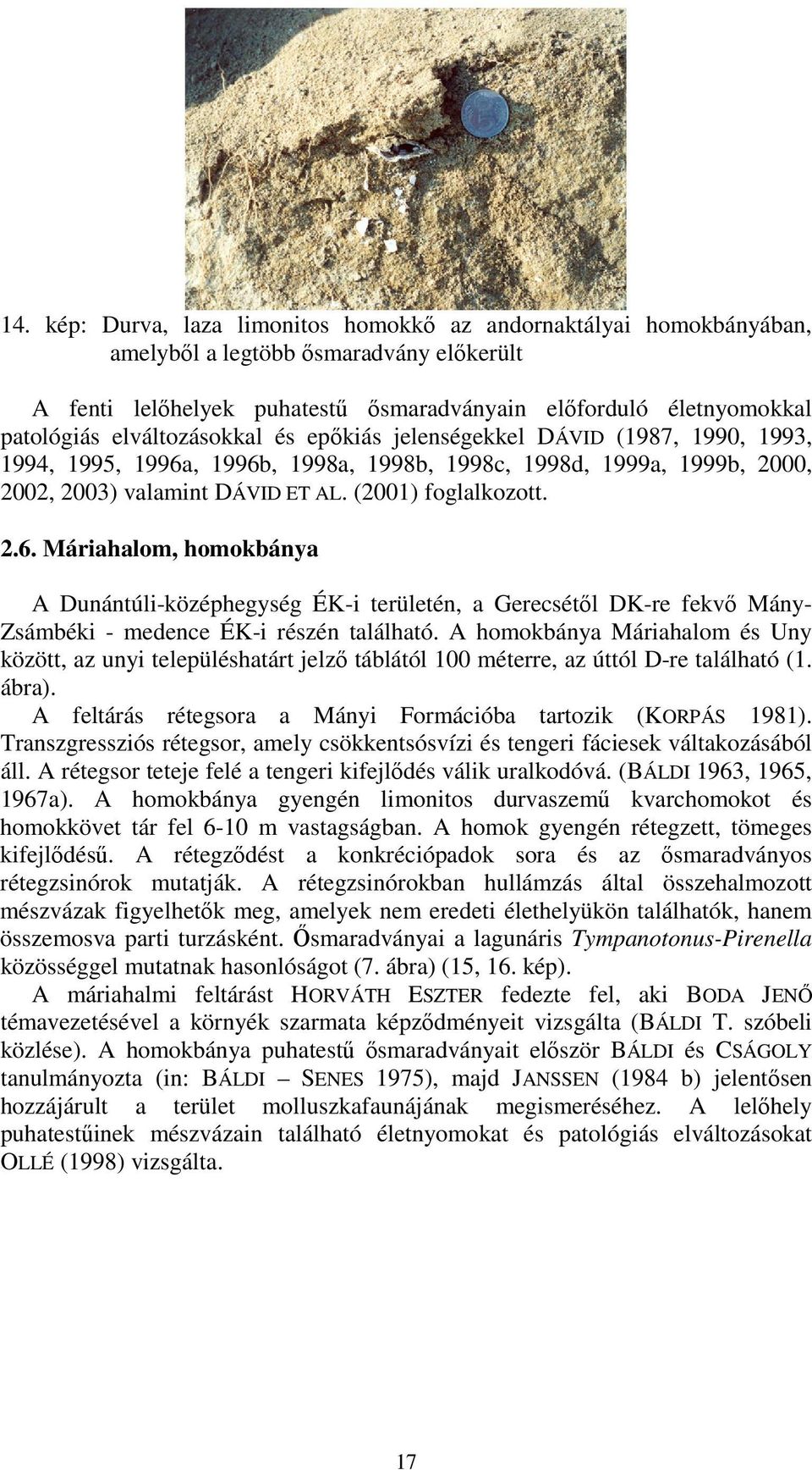 , 1996b, 1998a, 1998b, 1998c, 1998d, 1999a, 1999b, 2000, 2002, 2003) valamint DÁVID ET AL. (2001) foglalkozott. 2.6. Máriahalom, homokbánya A Dunántúli-középhegység ÉK-i területén, a Gerecsétıl DK-re fekvı Mány- Zsámbéki - medence ÉK-i részén található.