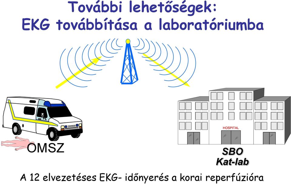 OMSZ SBO Kat-lab A 12