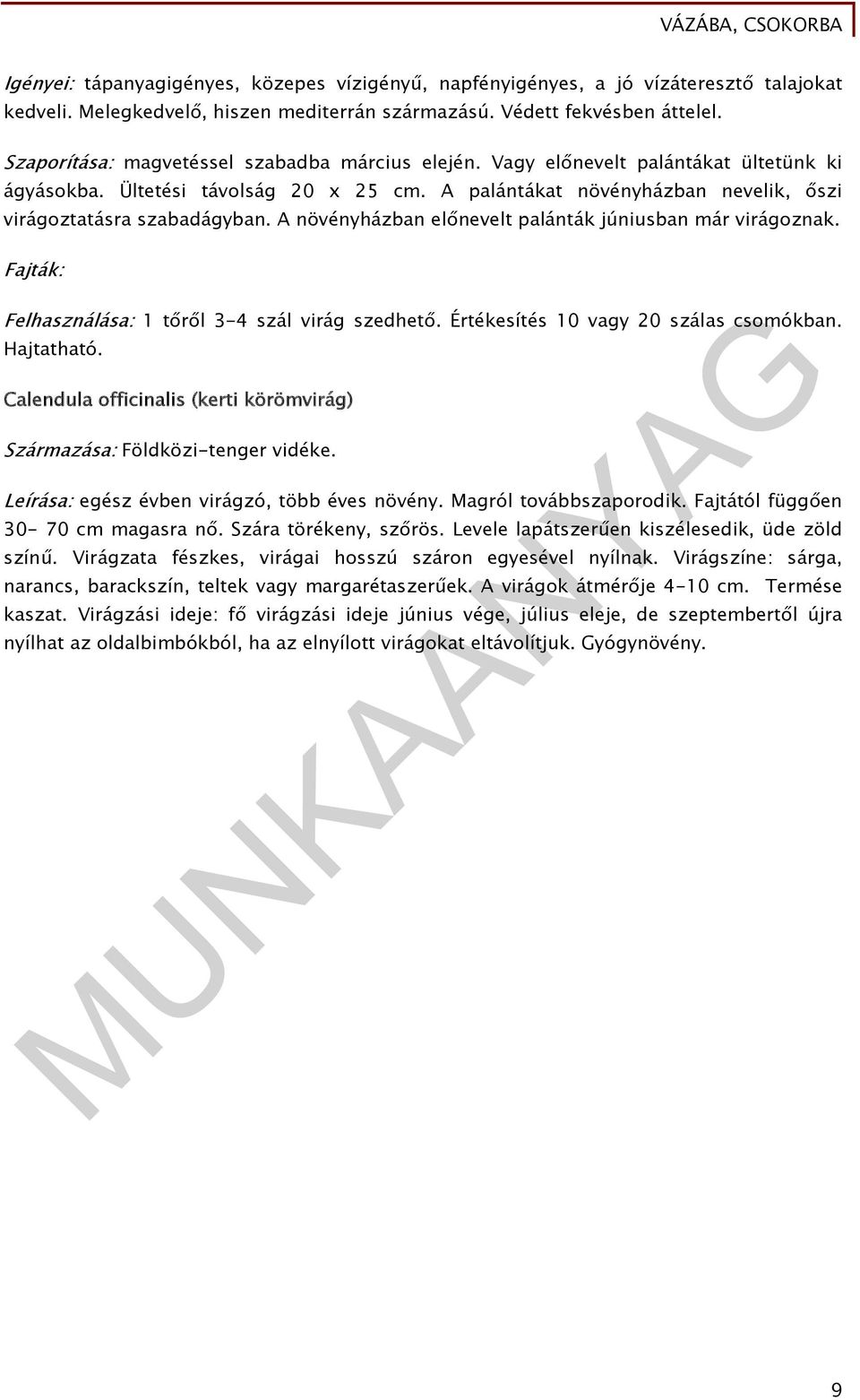 A növényházban előnevelt palánták júniusban már virágoznak. Fajták: Felhasználása: 1 tőről 3-4 szál virág szedhető. Értékesítés 10 vagy 20 szálas csomókban. Hajtatható.