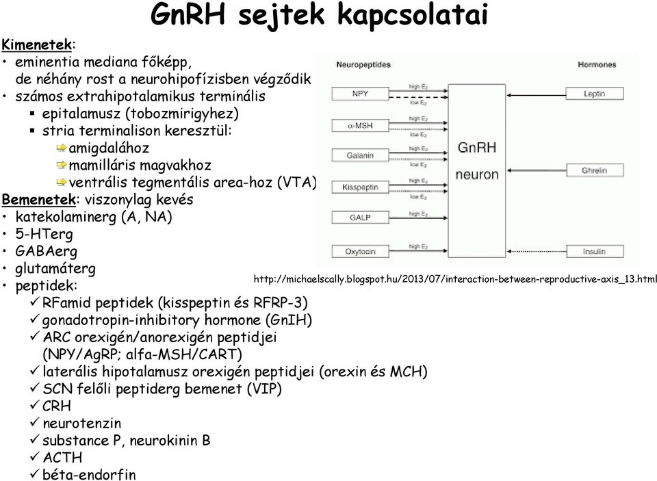 RFamid peptidek (kisspeptin és RFRP-3) gonadotropin-inhibitory hormone (GnIH) ARC orexigén/anorexigén peptidjei (NPY/AgRP; alfa-msh/cart) laterális hipotalamusz orexigén peptidjei