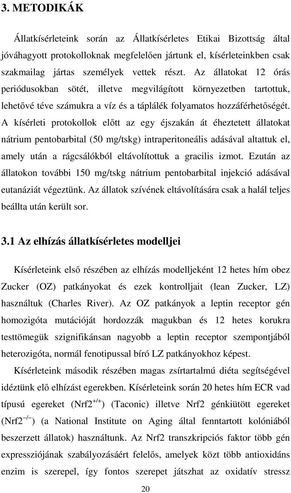 A kísérleti protokollok előtt az egy éjszakán át éheztetett állatokat nátrium pentobarbital (50 mg/tskg) intraperitoneális adásával altattuk el, amely után a rágcsálókból eltávolítottuk a gracilis