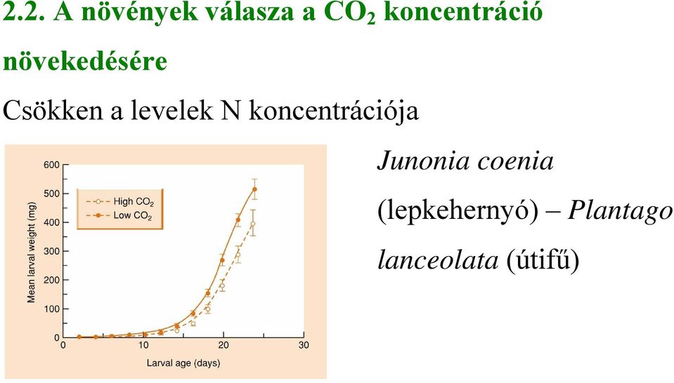 levelek N koncentrációja Junonia