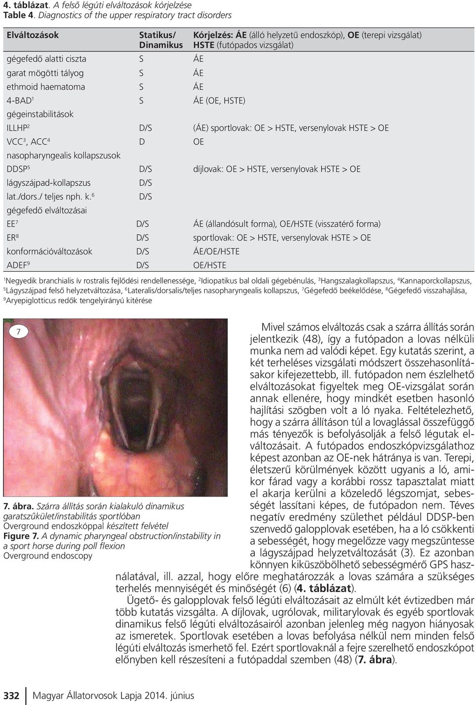 S ÁE garat mögötti tályog S ÁE ethmoid haematoma S ÁE 4-BAD 1 S ÁE (OE, HSTE) gégeinstabilitások ILLHP 2 D/S (ÁE) sportlovak: OE > HSTE, versenylovak HSTE > OE VCC 3, ACC 4 D OE nasopharyngealis