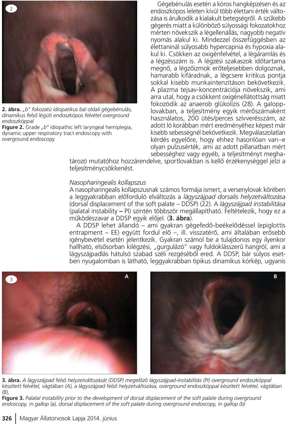 Mindezzel összefüggésben az élettaninál súlyosabb hypercapnia és hypoxia alakul ki. Csökken az oxigénfelvétel, a légáramlás és a légzésszám is.