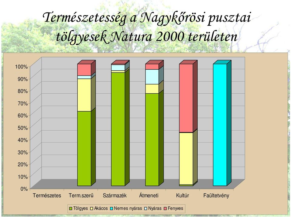 20% 10% 0% Természetes Term.