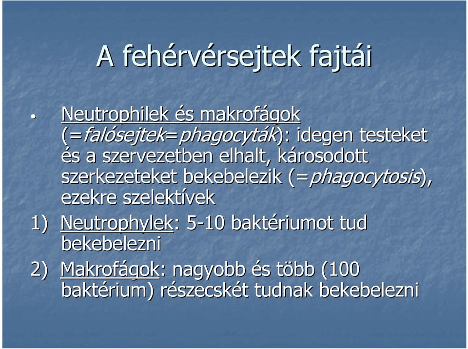 (=phagocytosis), ezekre szelektívek 1) Neutrophylek: : 5-105 baktériumot tud bekebelezni