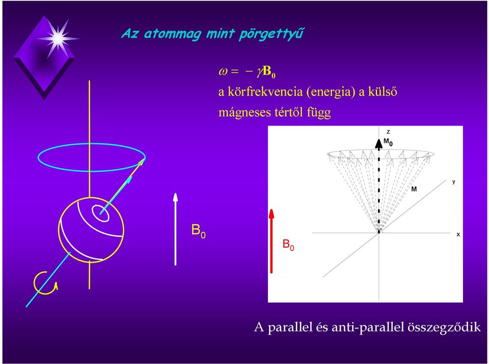 mágneses tértől függ z M 0 M B 0 x