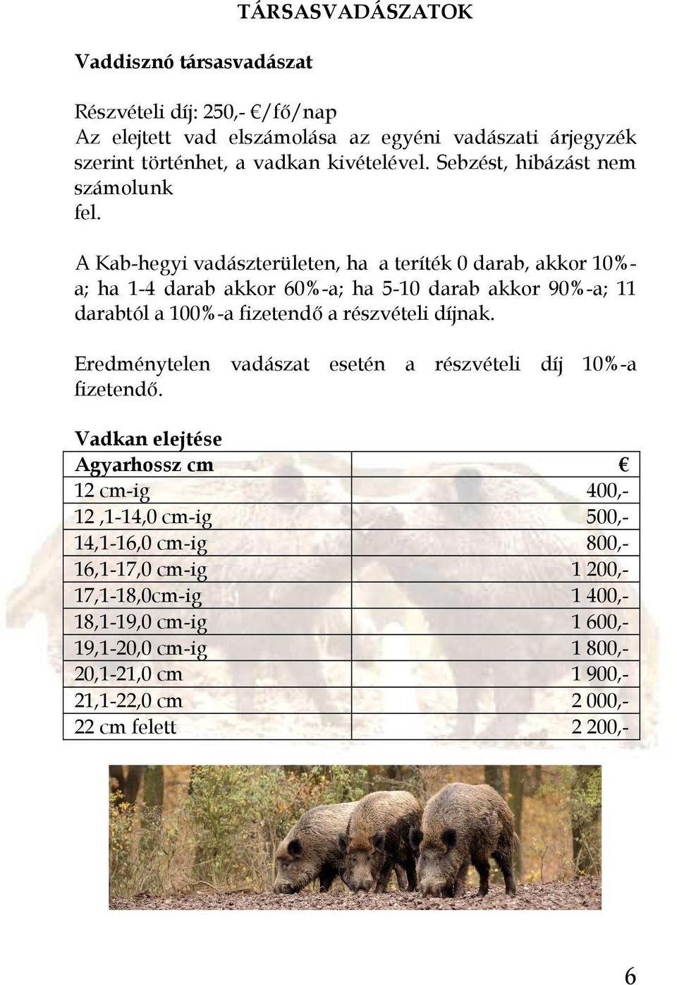 A Kab-hegyi vadászterületen, ha a teríték 0 darab, akkor 10%- a; ha 1-4 darab akkor 60%-a; ha 5-10 darab akkor 90%-a; 11 darabtól a 100%-a fizetendı a részvételi díjnak.