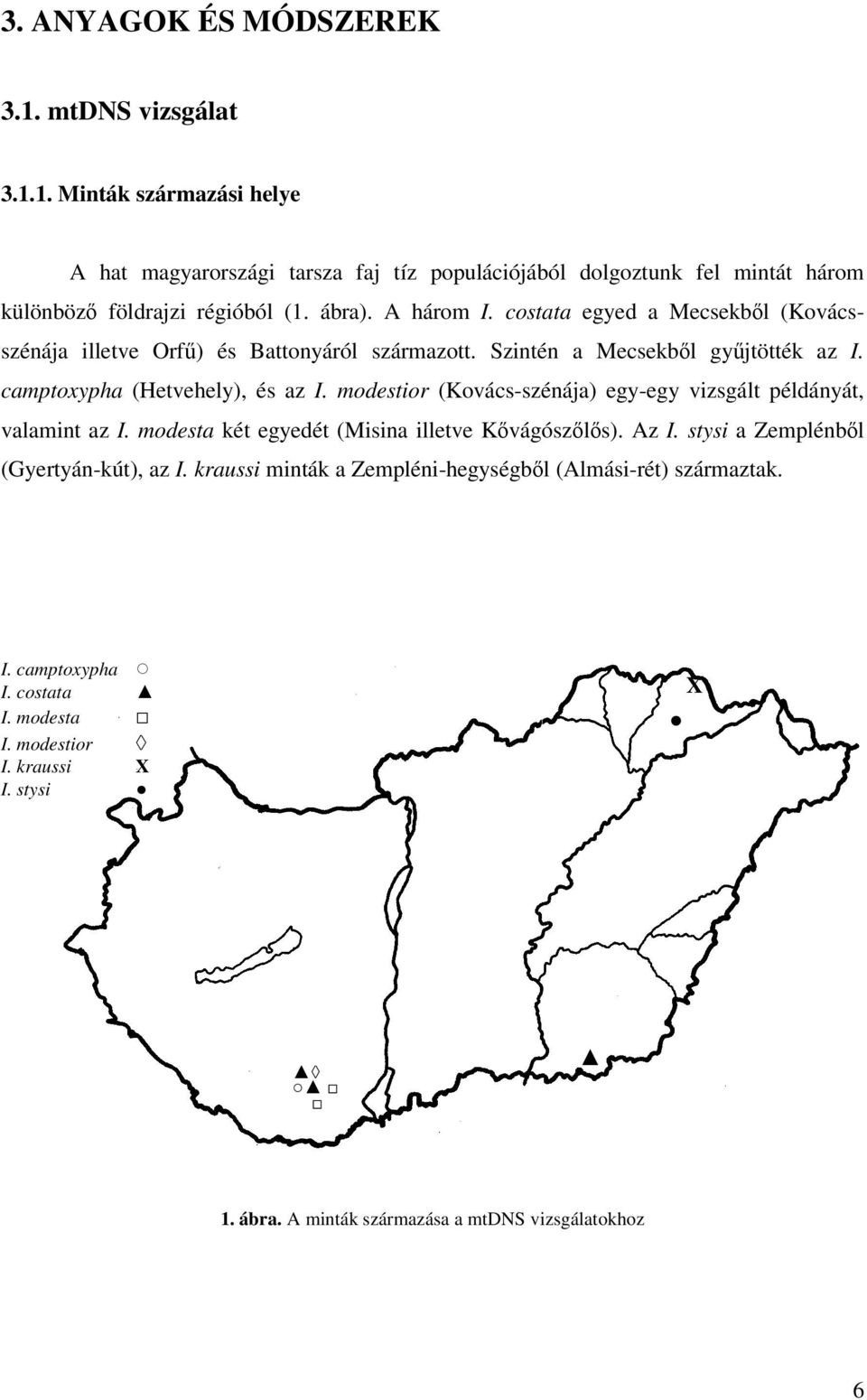 modestior (Kovács-szénája) egy-egy vizsgált példányát, valamint az I. modesta két egyedét (Misina illetve Kővágószőlős). Az I. stysi a Zemplénből (Gyertyán-kút), az I.