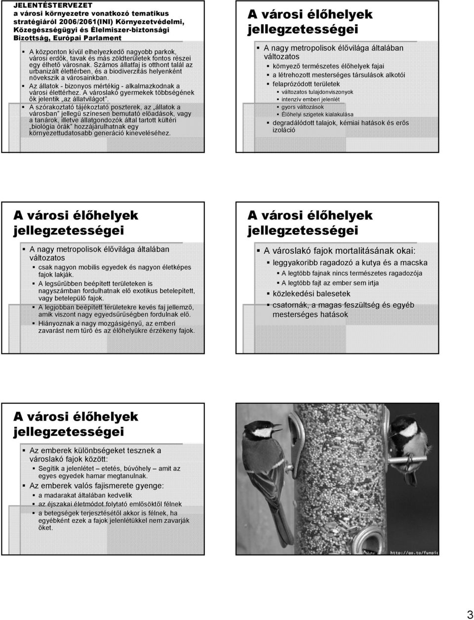 Számos állatfaj is otthont talál l az urbanizált élettérben, és s a biodiverzitás helyenként nt növekszik a városainkban. v Az állatok - bizonyos mértm rtékig - alkalmazkodnak a városi élettérhez.