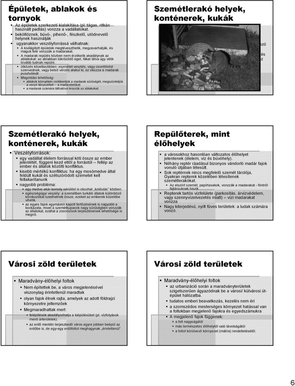 maguk felé vonzzák k a madarakat. A madarak repülés s közben k nem érzékelik akadálynak az ablakokat: az ablakban tükrt kröződő eget, fákat f látva l úgy vélik v lik tovább tudnak repülni.