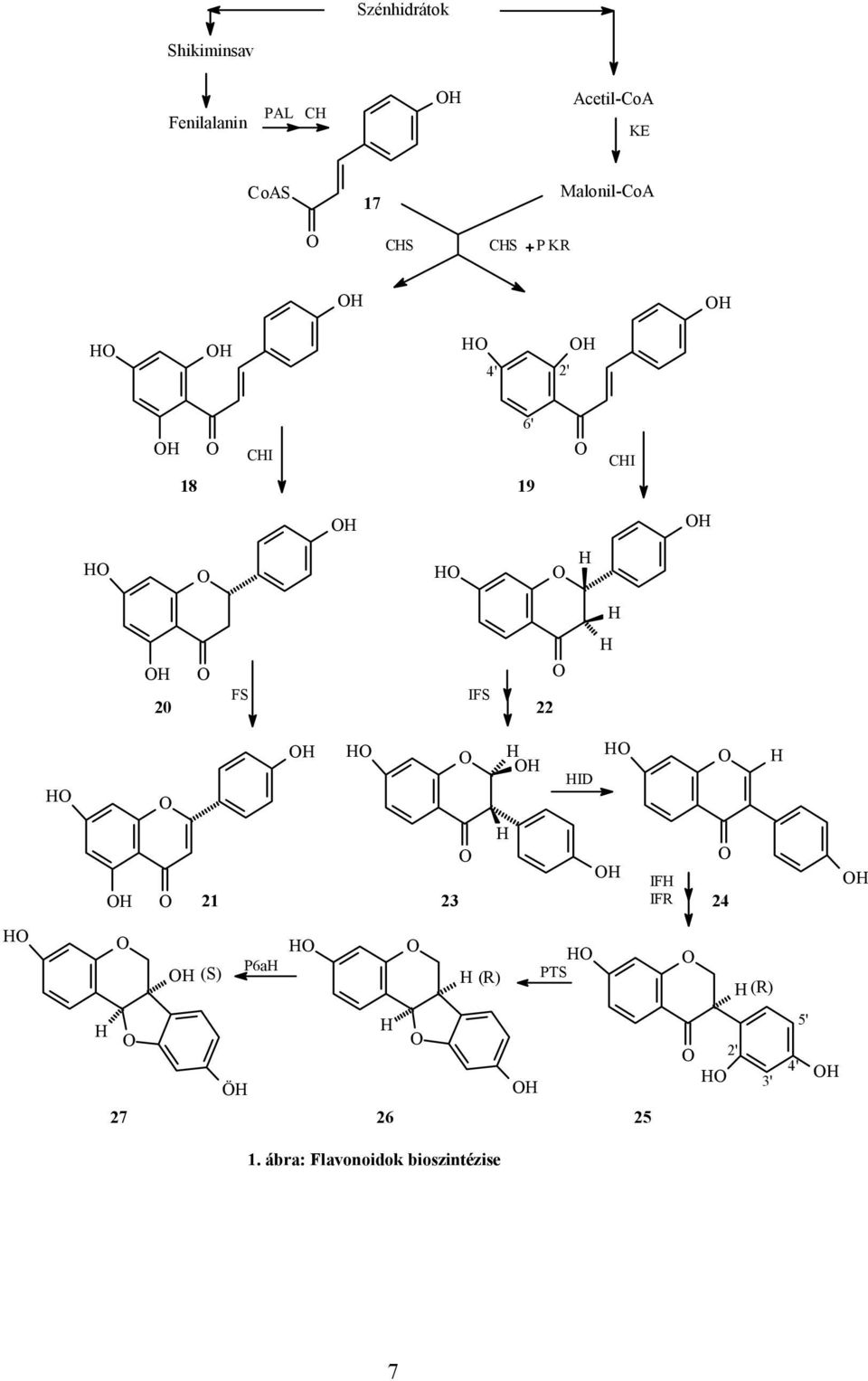 FS IFS 20 22 ID IF 21 23 IFR 24 (S) P6a (R) PTS (R) Ö