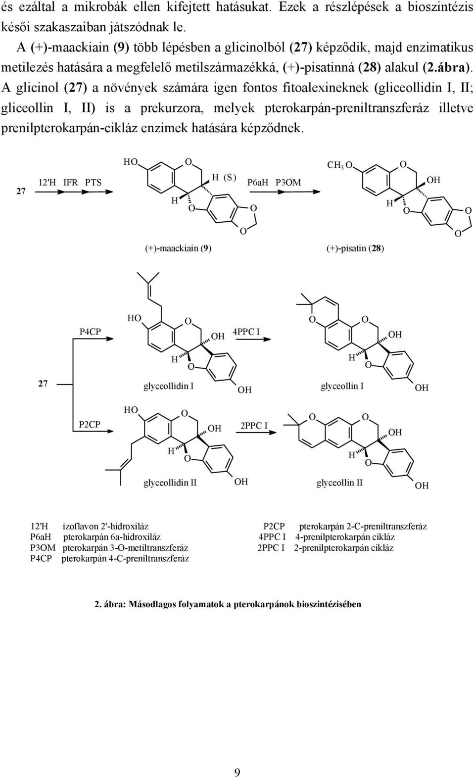 A glicinol (27) a növények számára igen fontos fitoalexineknek (gliceollidin I, II; gliceollin I, II) is a prekurzora, melyek pterokarpán-preniltranszferáz illetve prenilpterokarpán-cikláz enzimek