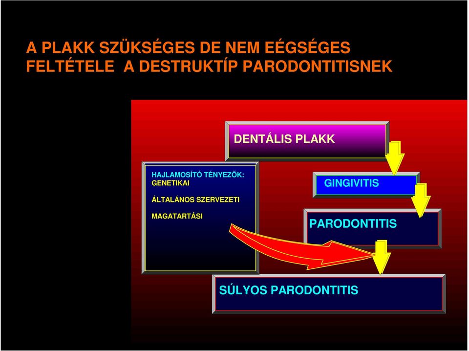 HAJLAMOSÍTÓ TÉNYEZÕK: GENETIKAI GINGIVITIS