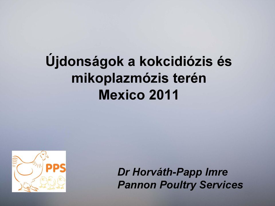 Mexico 2011 Dr