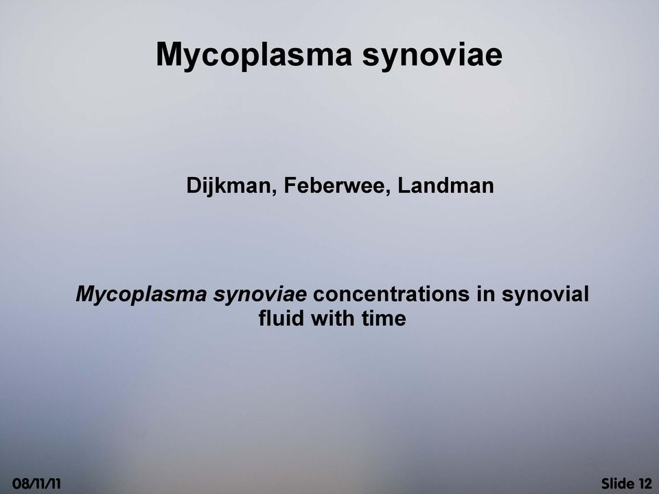 Landman Mycoplasma synoviae