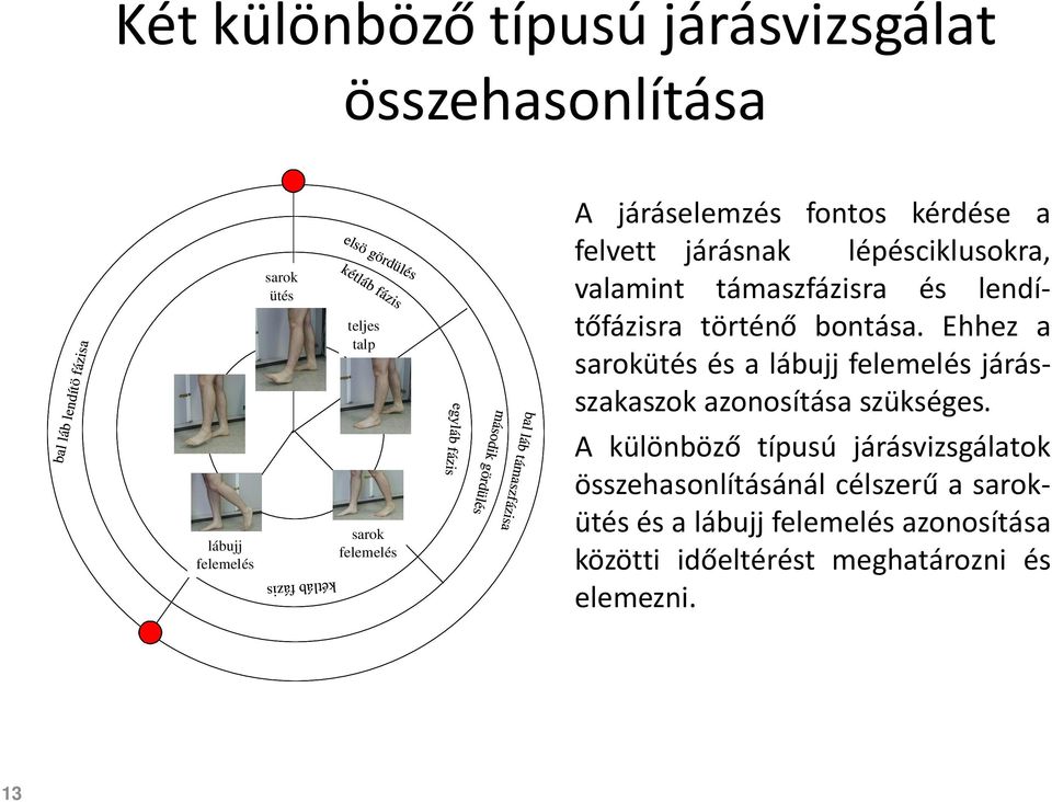 valamint támaszfázisra és lendítőfázisra történő bontása. Ehhez a sarokütés és a lábujj felemelés járásszakaszok azonosítása szükséges.