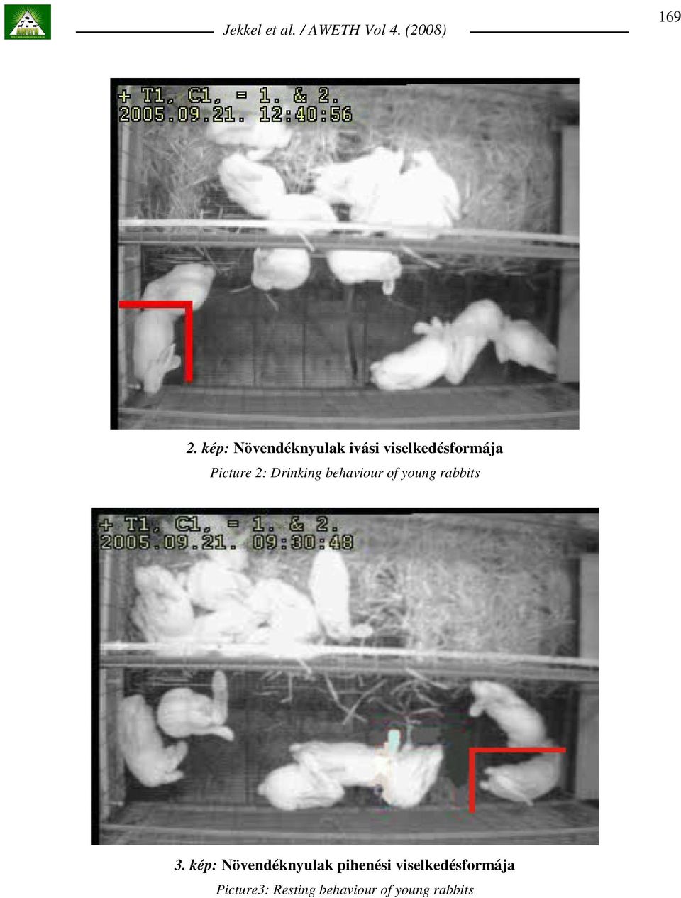 Picture 2: Drinking behaviour of young rabbits