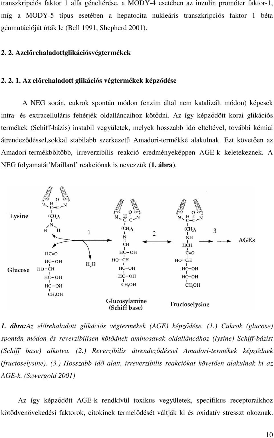 Az előrehaladott glikációs végtermékek képződése A NEG során, cukrok spontán módon (enzim által nem katalizált módon) képesek intra- és extracelluláris fehérjék oldalláncaihoz kötődni.