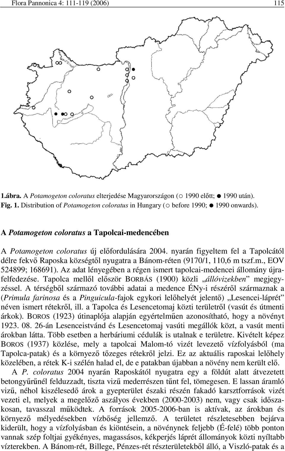 nyarán figyeltem fel a Tapolcától délre fekvı Raposka községtıl nyugatra a Bánom-réten (9170/1, 110,6 m tszf.m., EOV 524899; 168691).